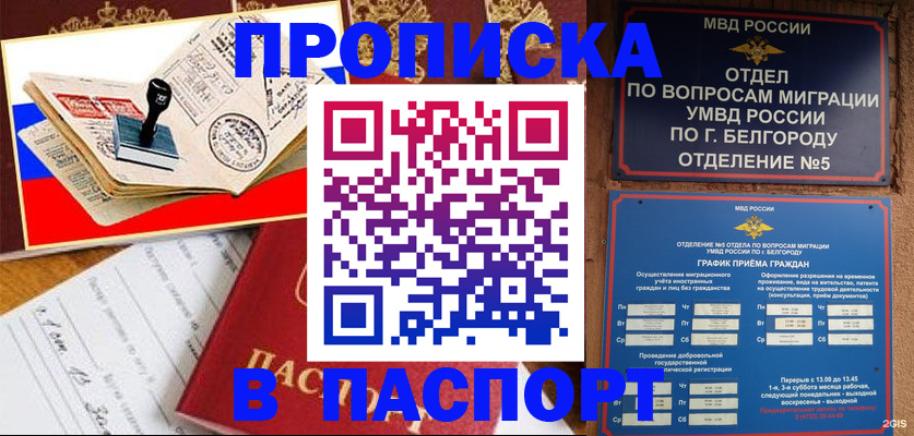 купить прописку в Лыткарино